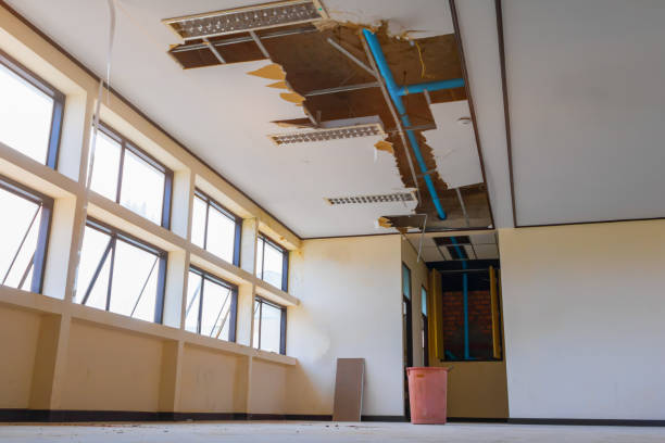 Best Water damage mitigation services  in Tillson, NY