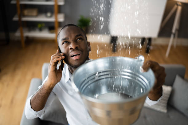 Best Carpet water damage restoration  in Tillson, NY