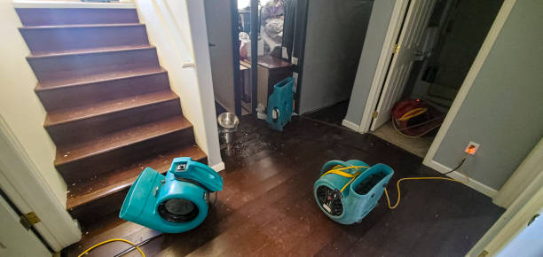 Best Sewage cleanup and water damage restoration  in Tillson, NY