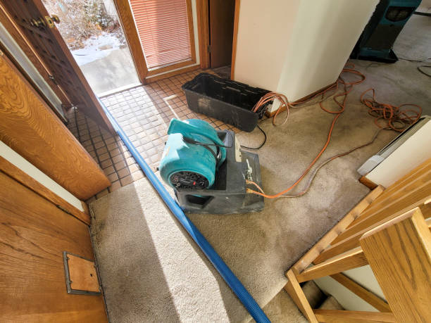 Best Flooded house restoration  in Tillson, NY