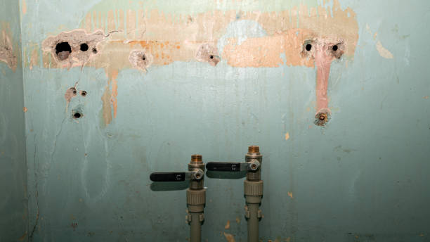 Best Fire Damage Restoration  in Tillson, NY