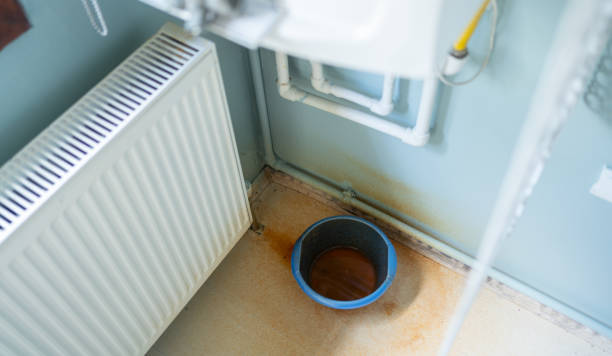 Best Ceiling water damage repair  in Tillson, NY