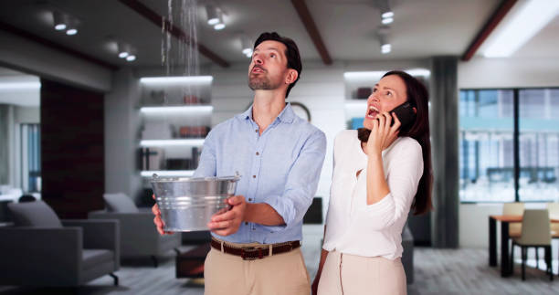 Best Water damage restoration mold remediation  in Tillson, NY
