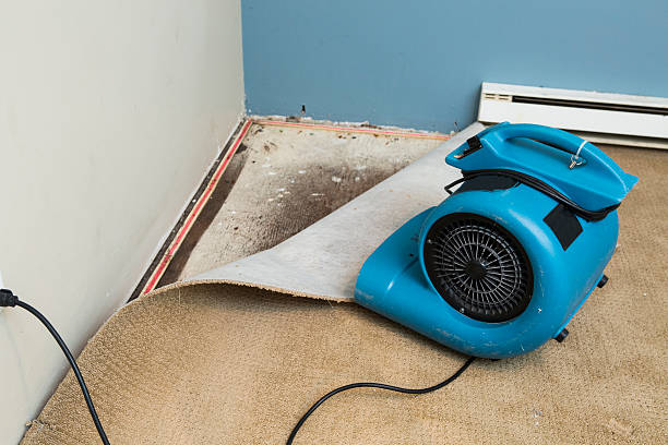 Best Flood damage cleanup  in Tillson, NY